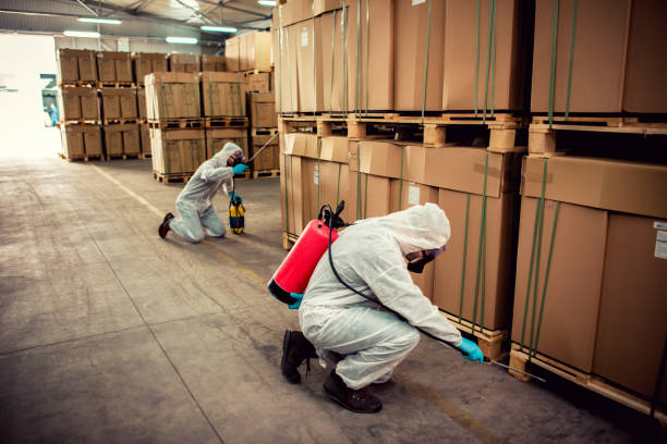 Best Wildlife Control Services  in Ship Bottom, NJ