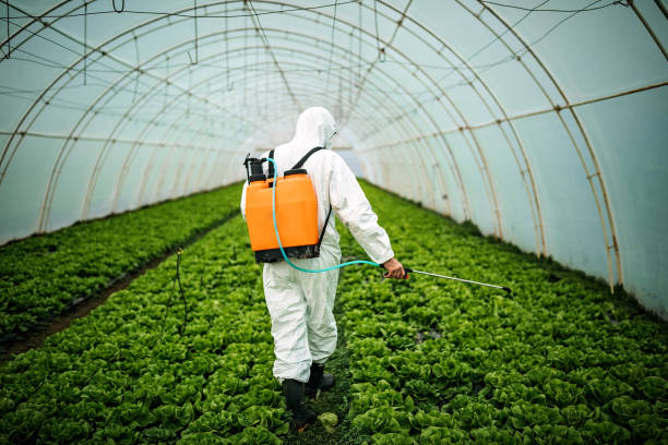 Best Ant Control Services  in Ship Bottom, NJ