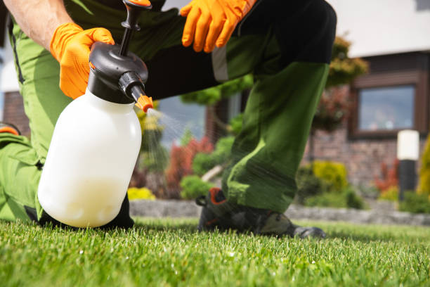 Best Wildlife Control Services  in Ship Bottom, NJ