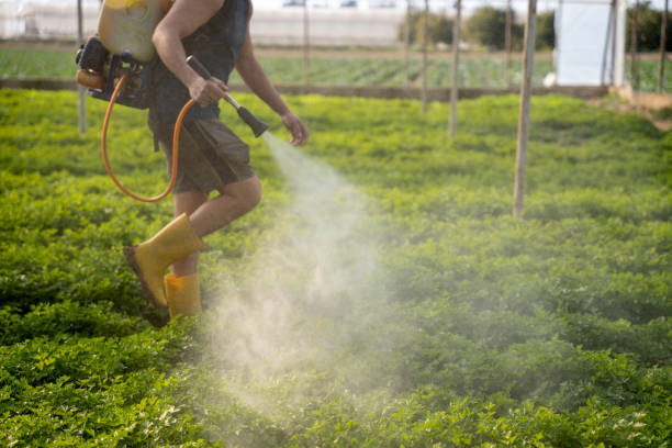 Best Local Pest Control Services  in Ship Bottom, NJ