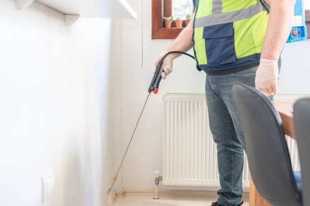 Best Wasp Removal Services  in Ship Bottom, NJ