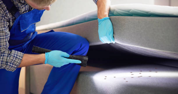 Best Pest Removal Services  in Ship Bottom, NJ