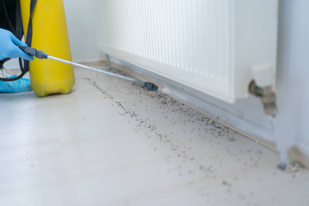 Best Pest Removal Services  in Ship Bottom, NJ