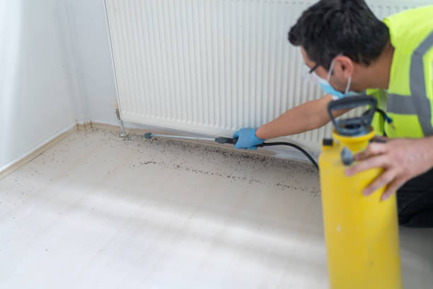 Best Emergency Pest Control  in Ship Bottom, NJ