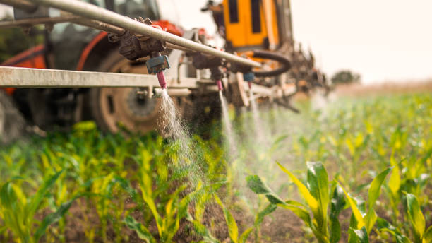 Best Commercial Pest Control Services  in Ship Bottom, NJ